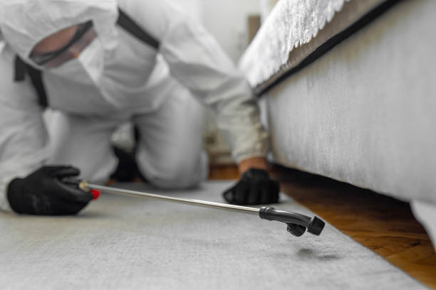 Professional Termite Control technician working in Spencer, IN