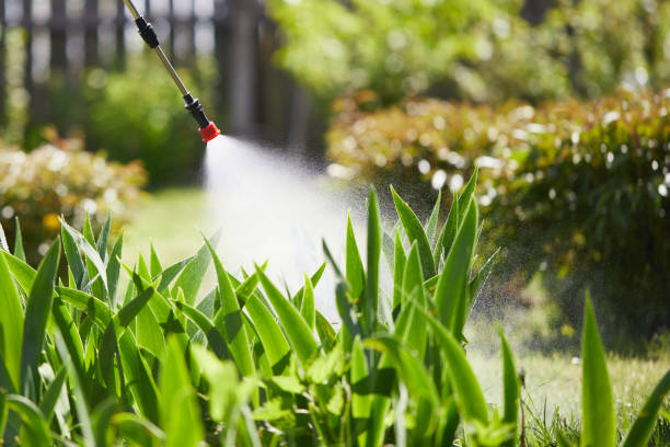24/7 Emergency Termite Control experts in Spencer, IN