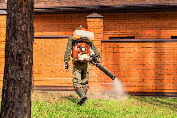 Top rated local Termite Control specialists in Spencer, IN
